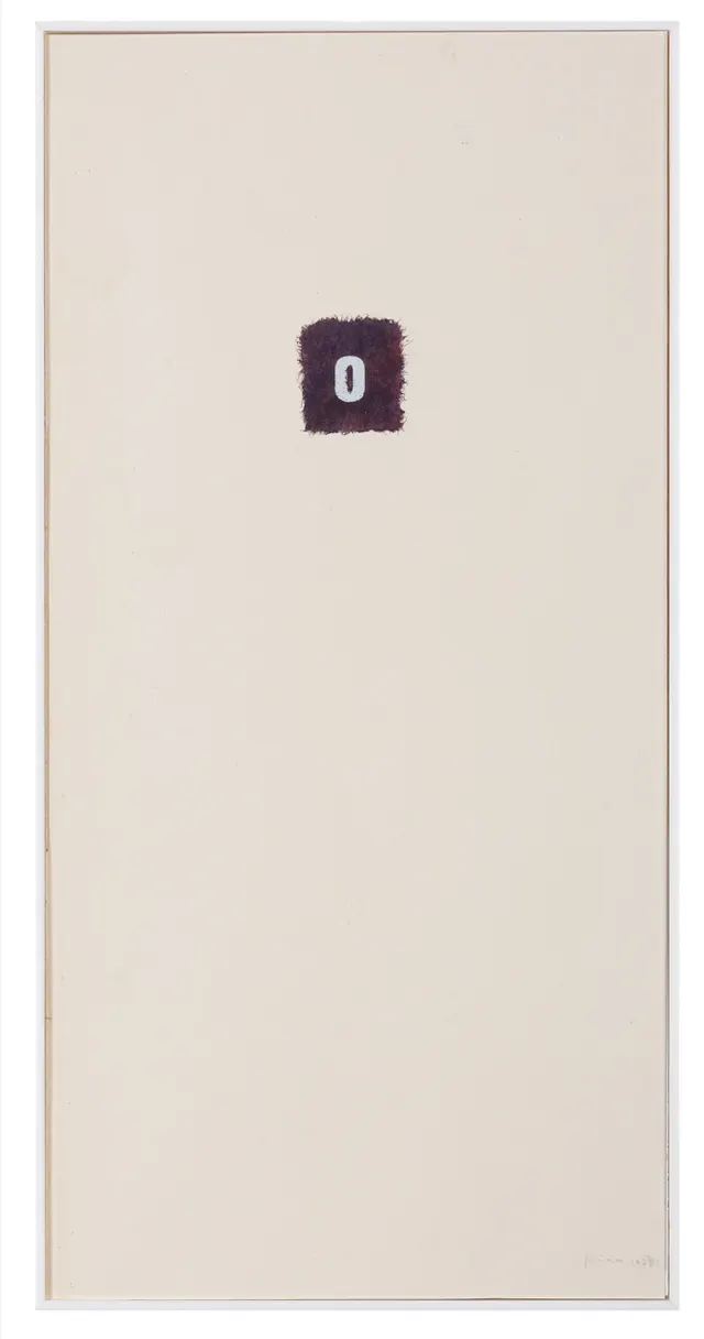Obra de Mira Schendel