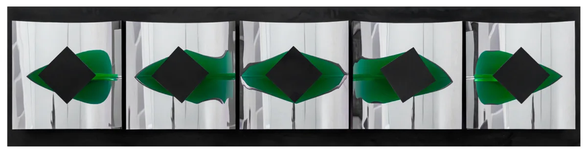 Espaço verde — Yutaka Toyota