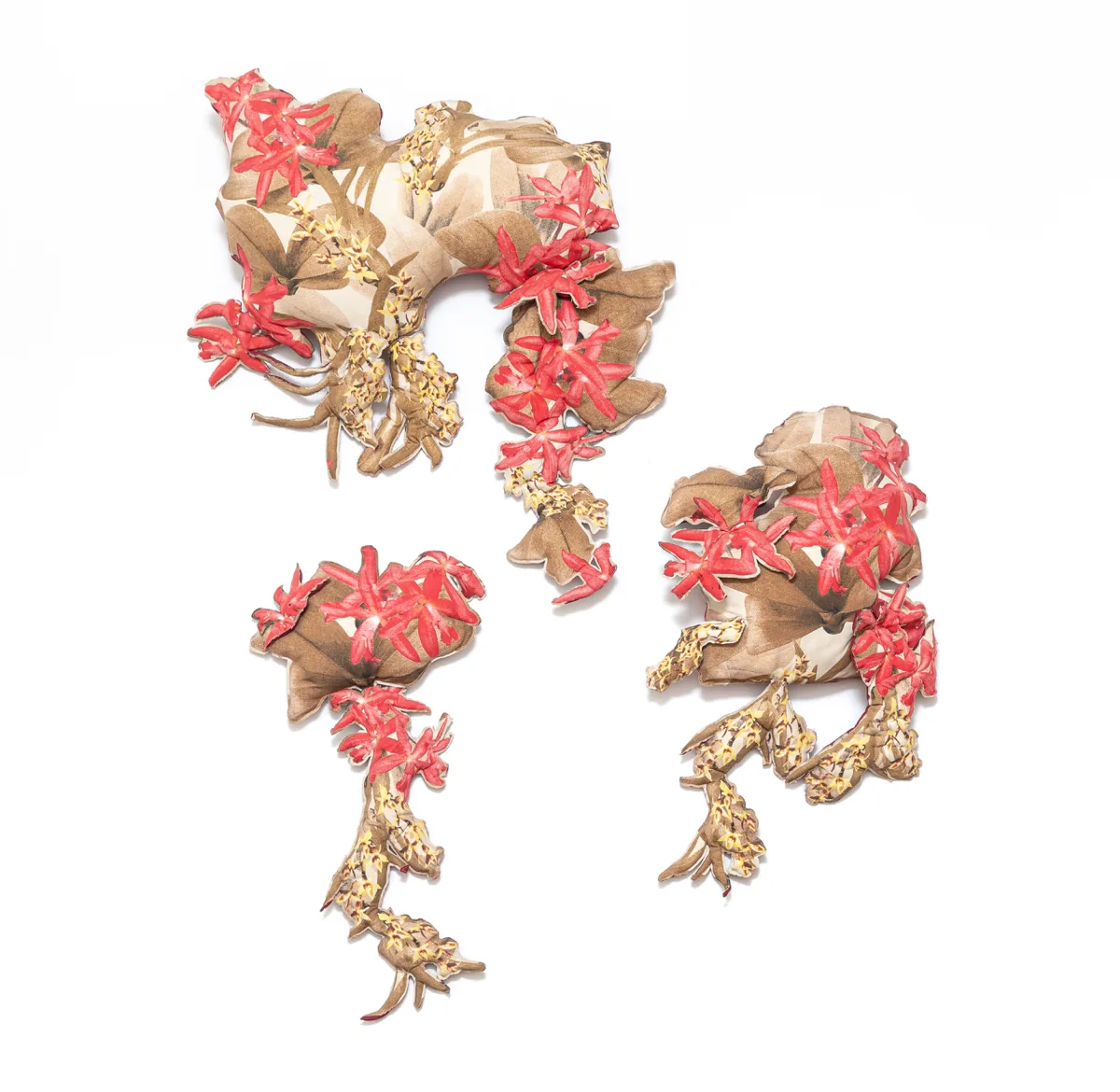 Orquídeas — Yuli Yamagata