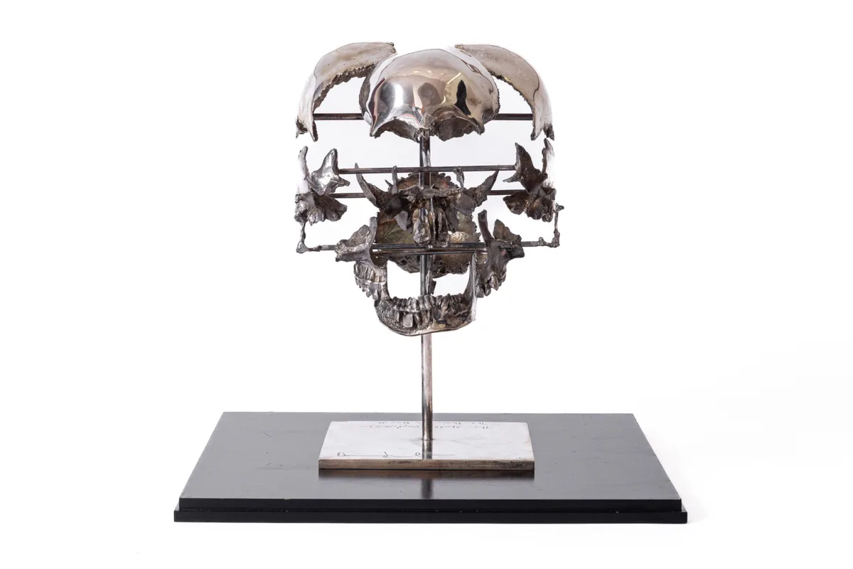 Skull Exploded. The dream is dead. — Damien Hirst