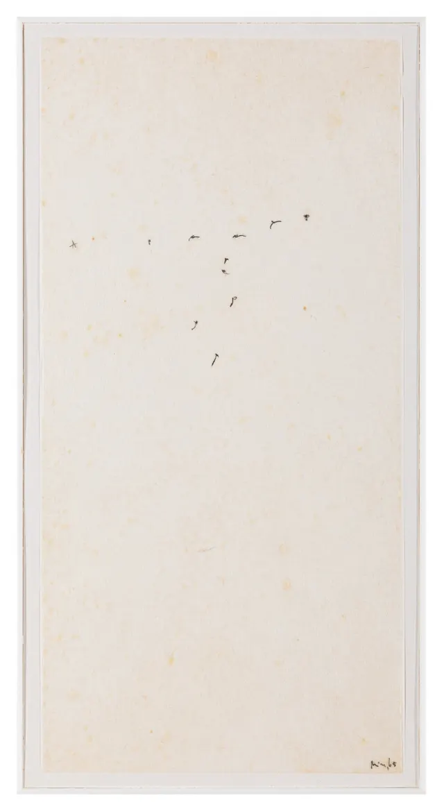 Obra de Mira Schendel