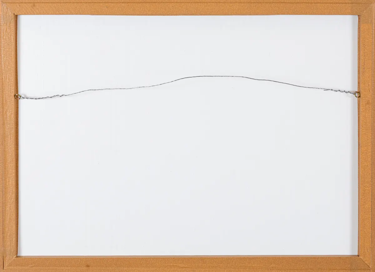 Obra de Flavia Junqueira