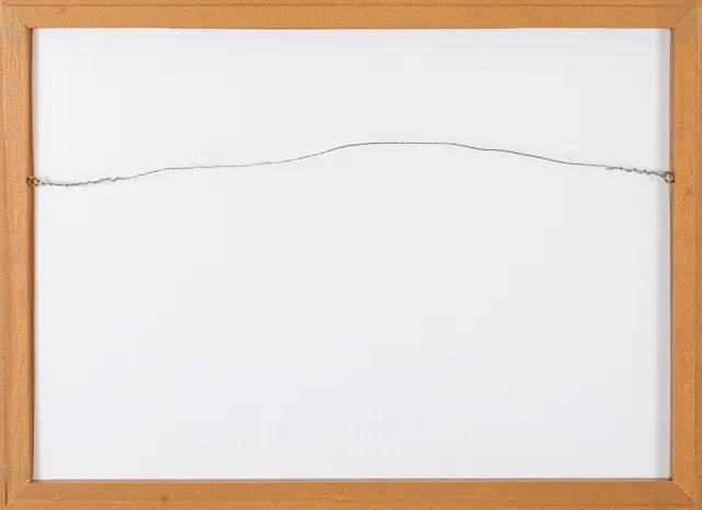 Obra de Flavia Junqueira