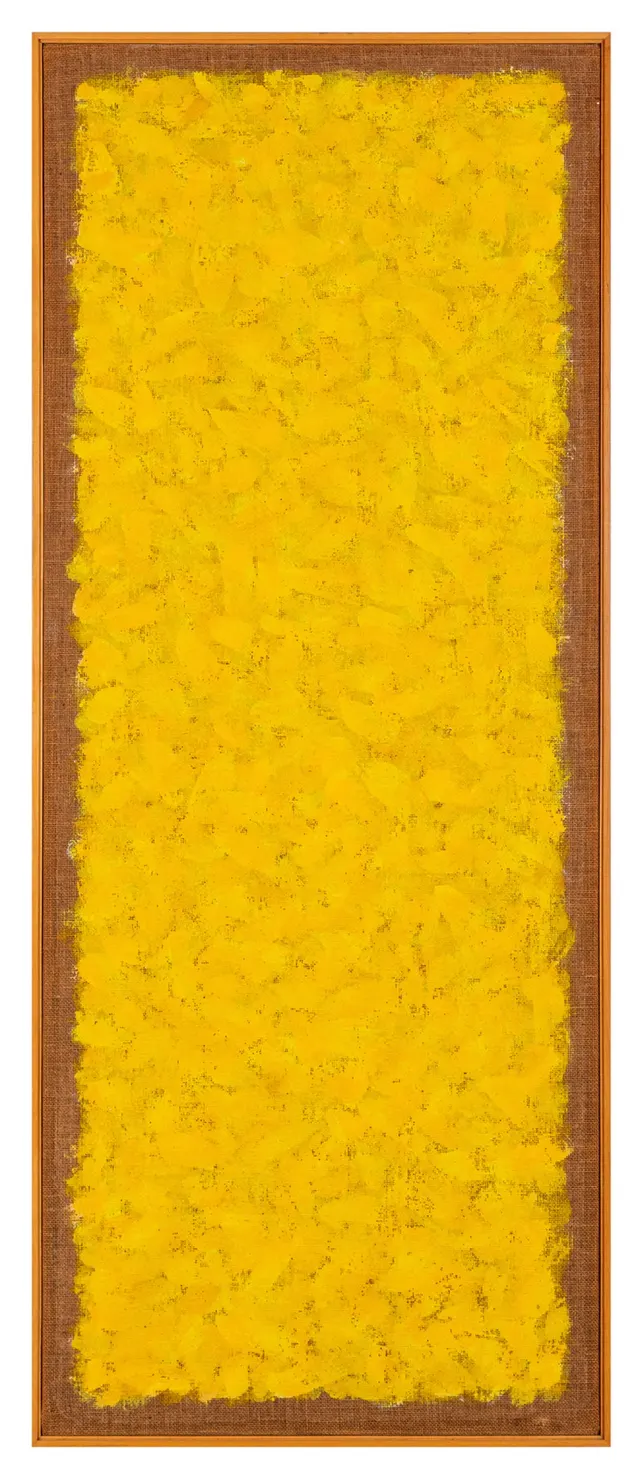 Obra de Amélia Toledo