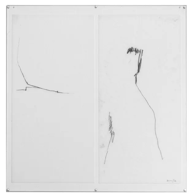 Obra de Mira Schendel