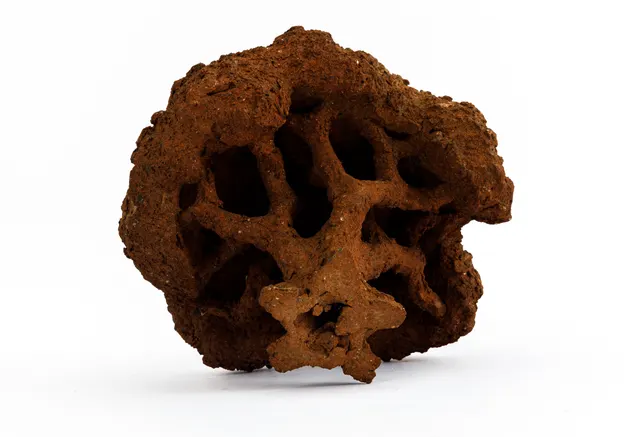 Obra de Megumi Yuasa