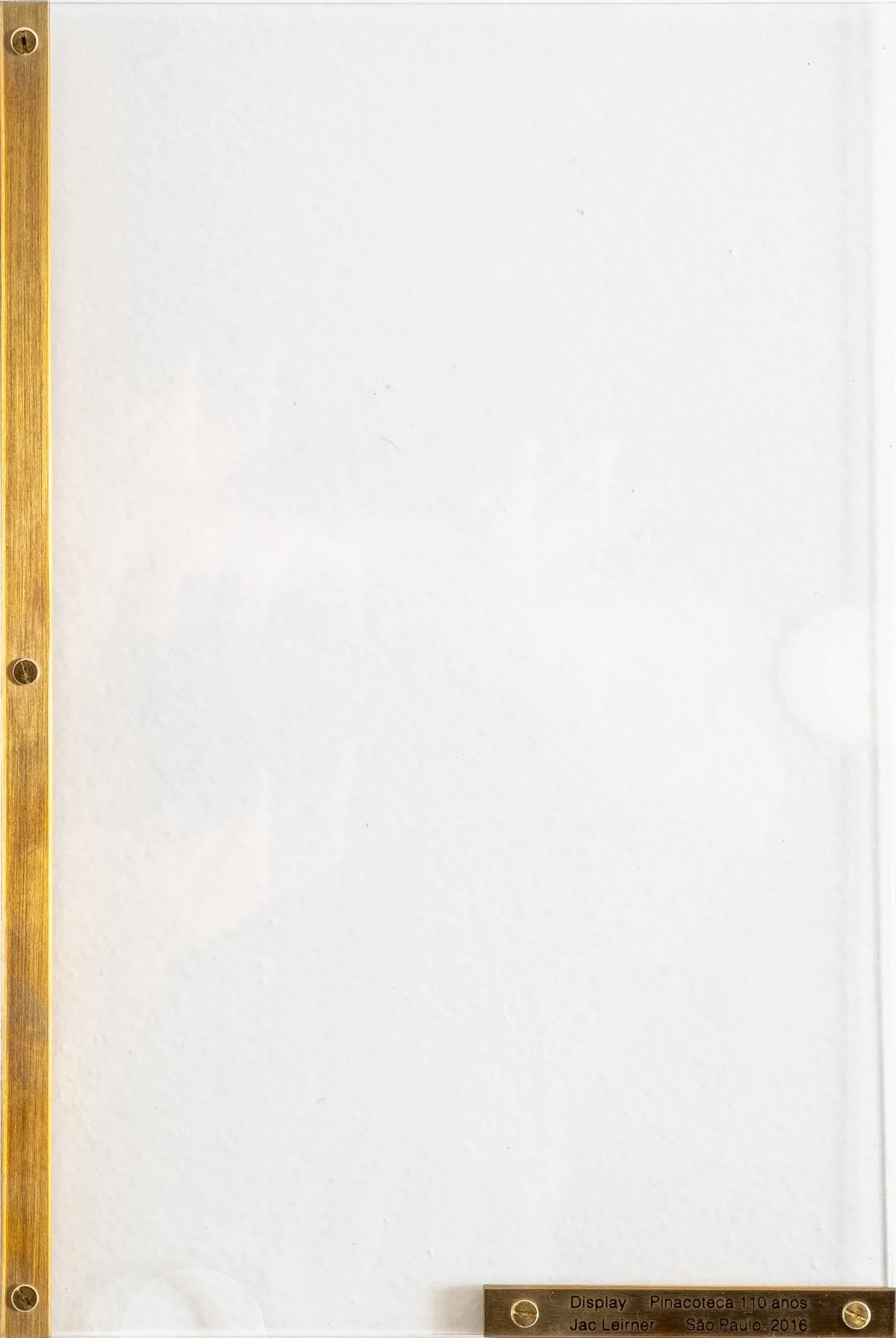 Display (Pinacoteca 110 anos) — Jac Leirner