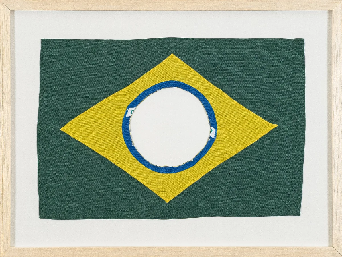 The New Brazillian Flag #2 — Raul Mourão
