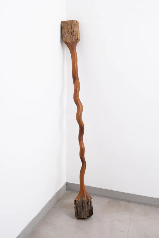 Obra de Afonso Tostes