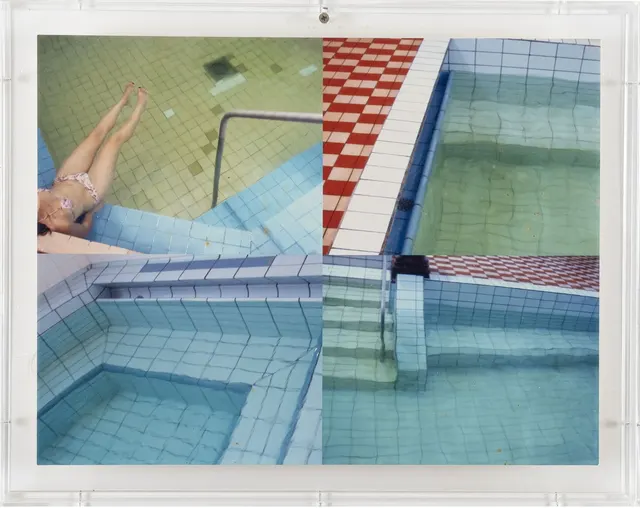 Obra de Adriana Varejão