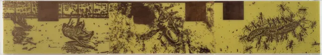 Obra de Antônio Dias