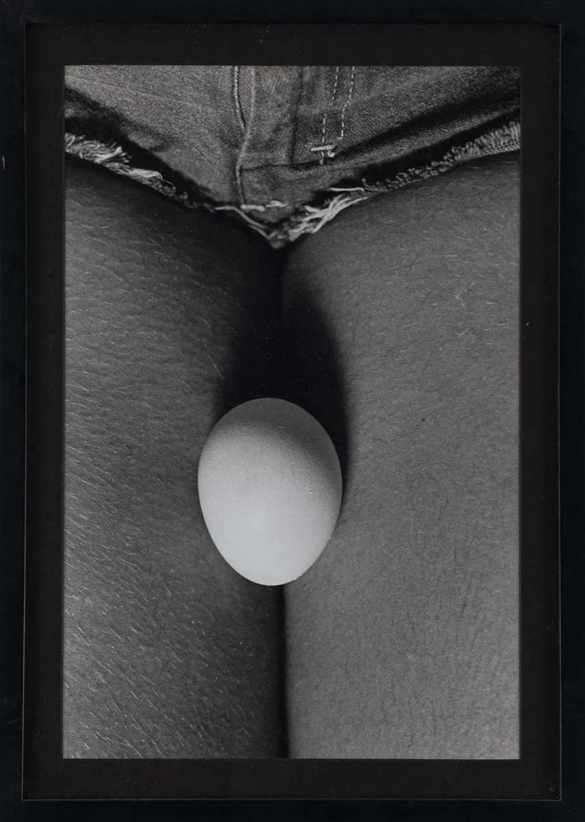 Vista Afora (fotopoemação) — Anna Maria Maiolino