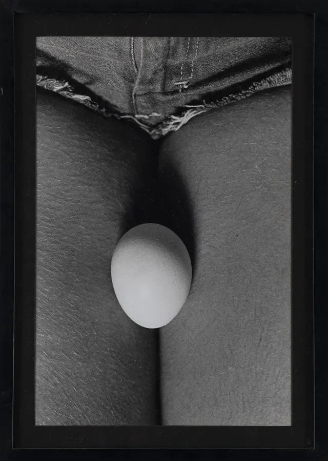 Obra de Anna Maria Maiolino