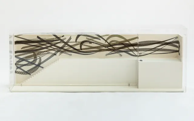 Obra de Regina Silveira