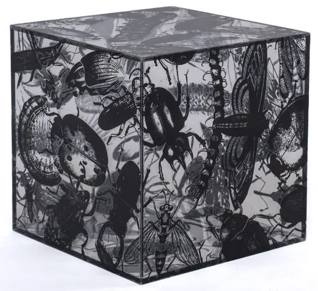 Obra de Regina Silveira