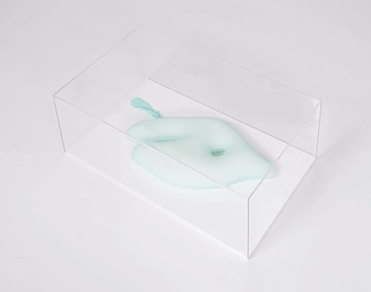 Phytuziann — Ernesto Neto