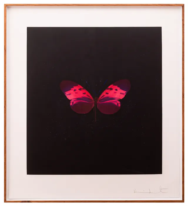 Obra de Damien Hirst