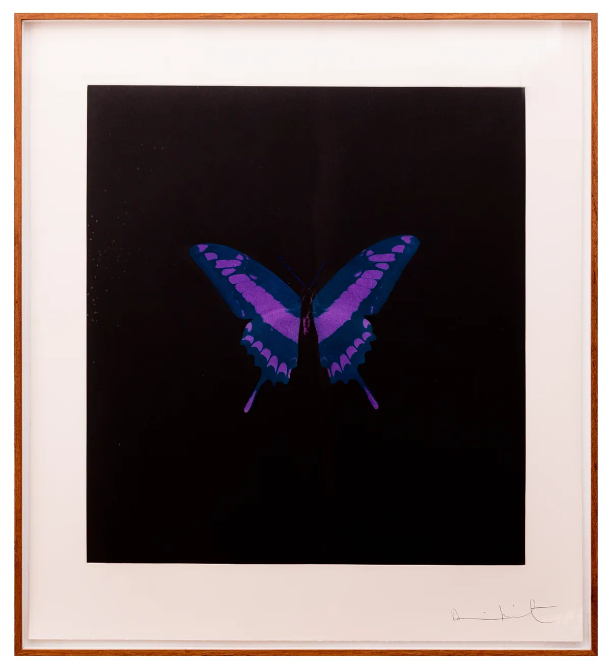 Untitled 06 (small purple/blue) Série: Memento — Damien Hirst