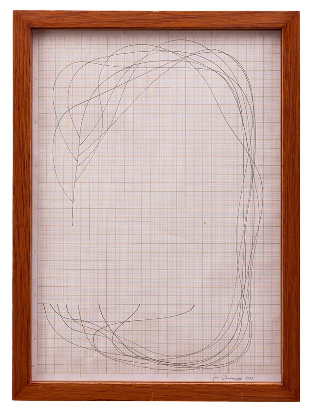 Obra de José Damasceno