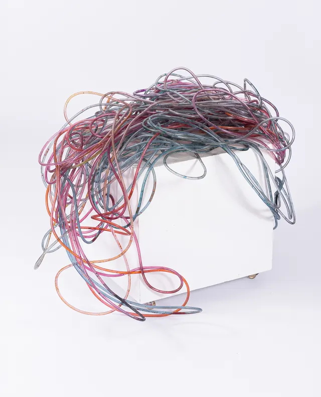 Obra de Amélia Toledo