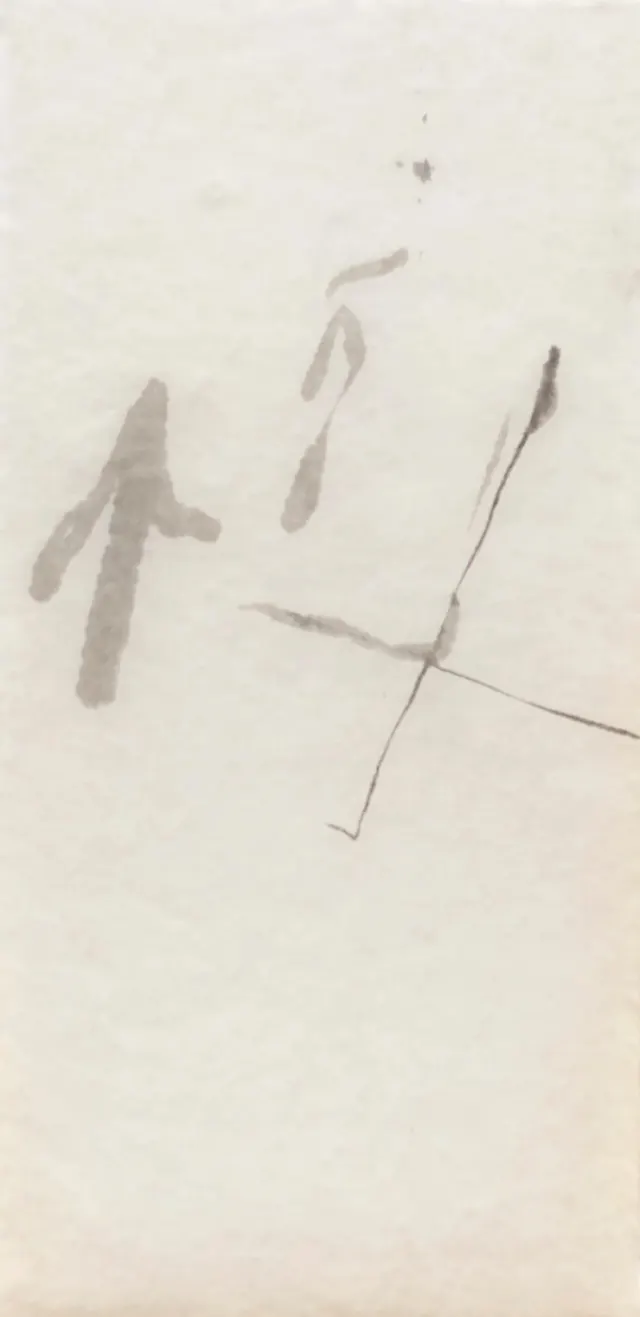 Obra de Mira Schendel
