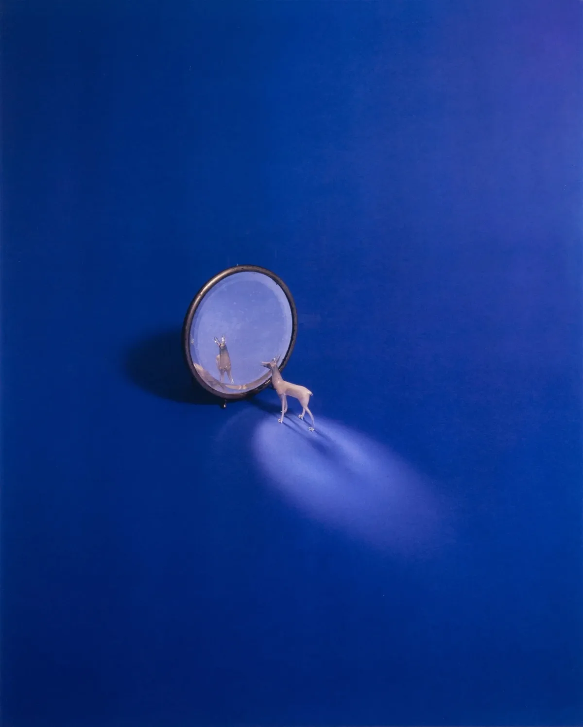 Deer With Mirror — Liliana Porter