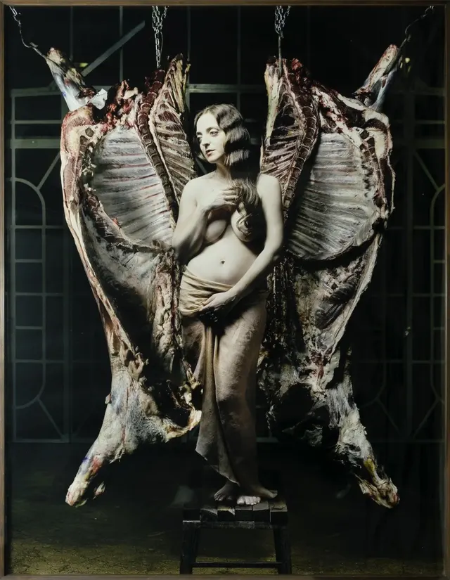 Obra de Nicola Costantino