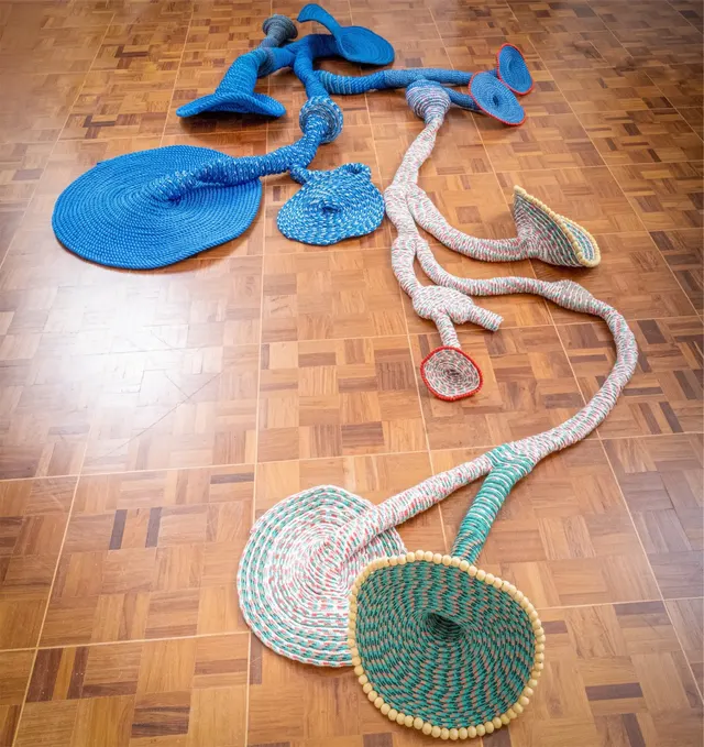 Obra de Maria Nepomuceno