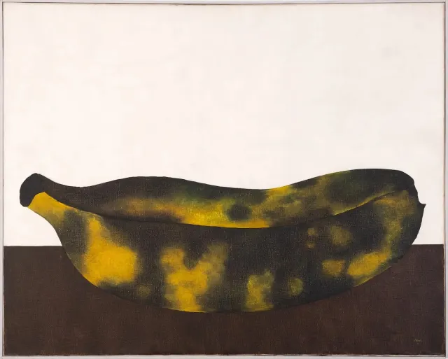 Obra de Antonio Henrique Amaral