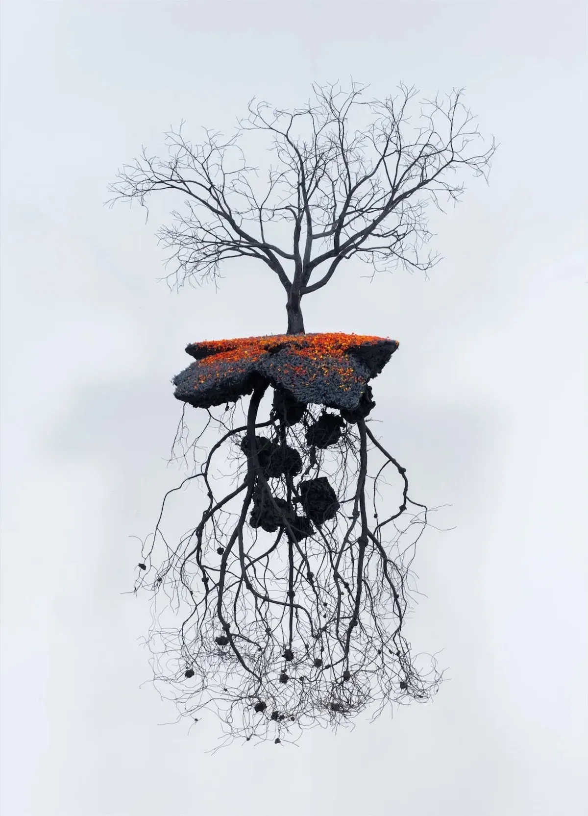 Flores de fuego en tierra de sombras — Jorge Mayet