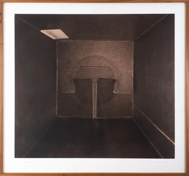 Obra de Lucia Koch
