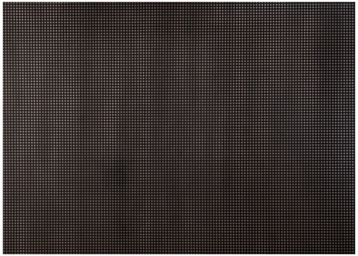 Reticular Reflexivo Horizontal no1 — Luiz Zerbini