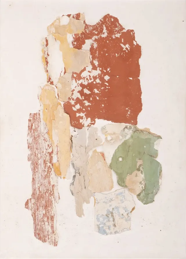 Obra de Manoela Medeiros