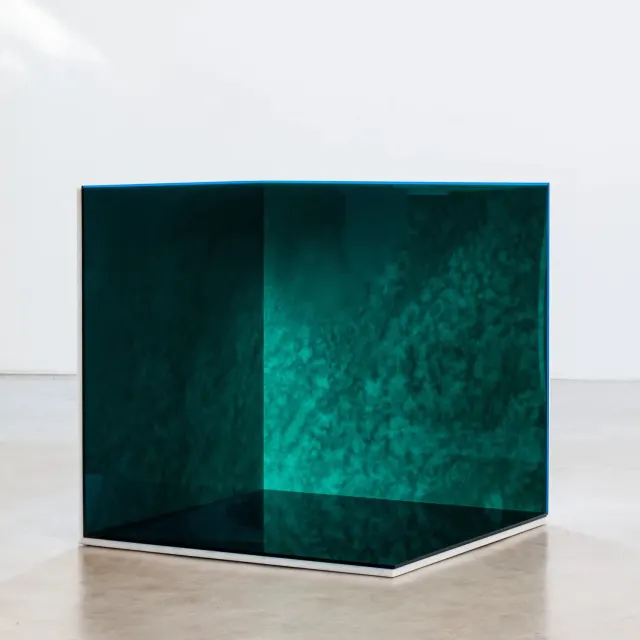 Obra de Estela Sokol