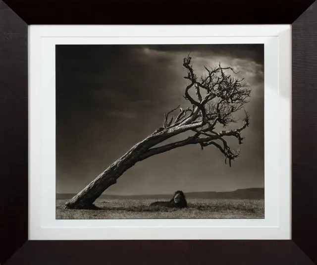 Obra de Nick Brandt