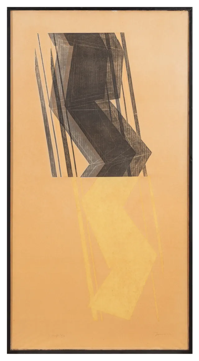 Obra de Maria Bonomi